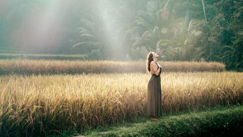 Sunrise over Tegallalang Rice Terraces Ubud