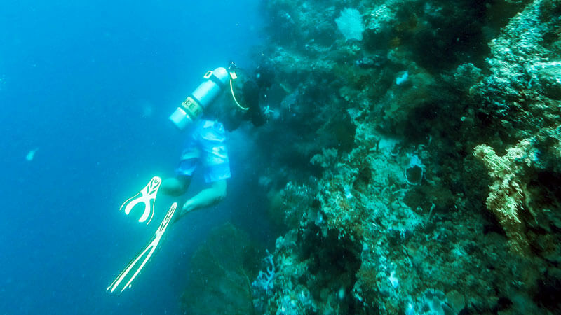 Diver exploring the rich coral ecosystem off Menjangan Island, Bali