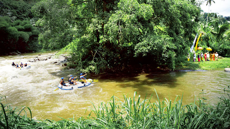 Serene Bali river environment promoting mental well-being