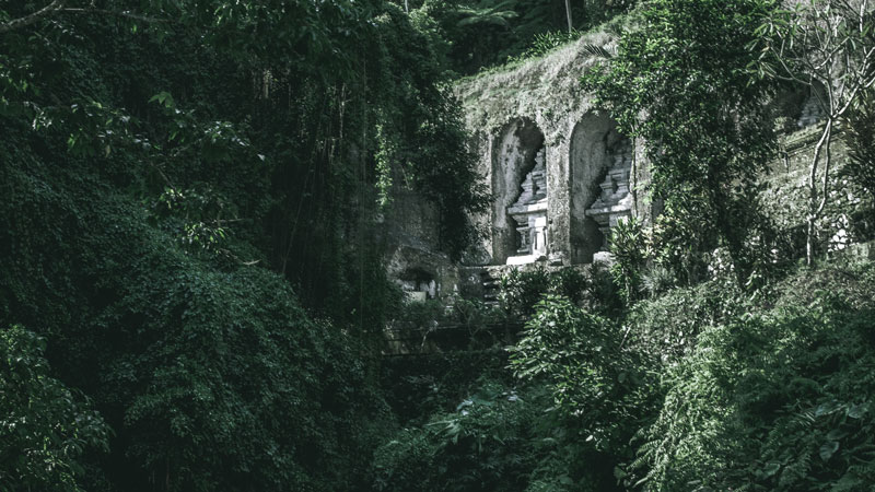 Lush landscapes around Gunung Kawi Temple, Bali