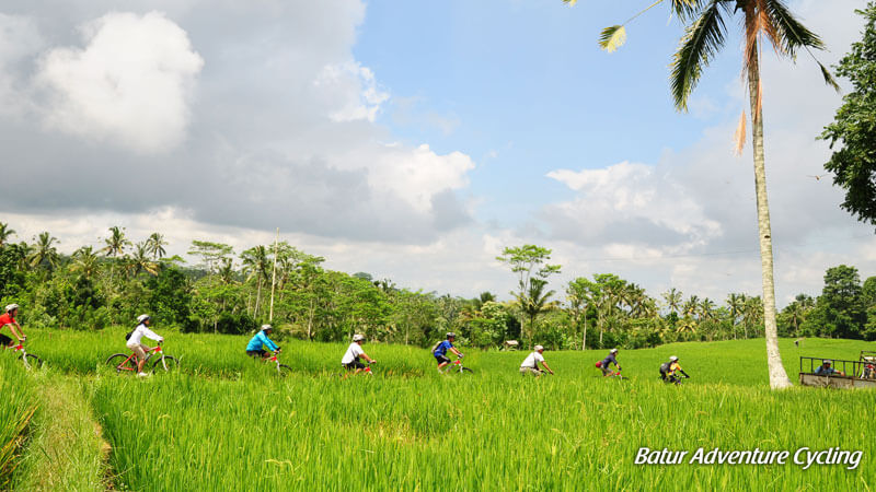 Cyclists on scenic route from Kintamani to Ubud with Sobek