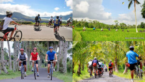 Cyclists experiencing the diverse terrains of Bali from volcanic vistas to lush paddy fields on the Sobek Cycling Kintamani to Ubud tour