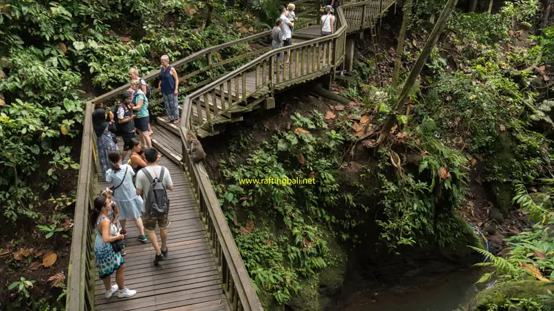 Visitors on wooden boardwalk above ravine