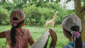Bali Safari kids watching a giraffe from the Safari Journey vehicle