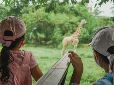 Bali Safari kids watching a giraffe from the Safari Journey vehicle