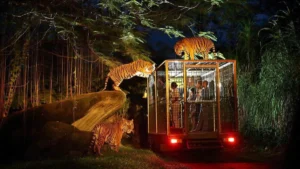 A family rides a secure safari tram surrounded by tigers during the Bali Night Safari wildlife experience.