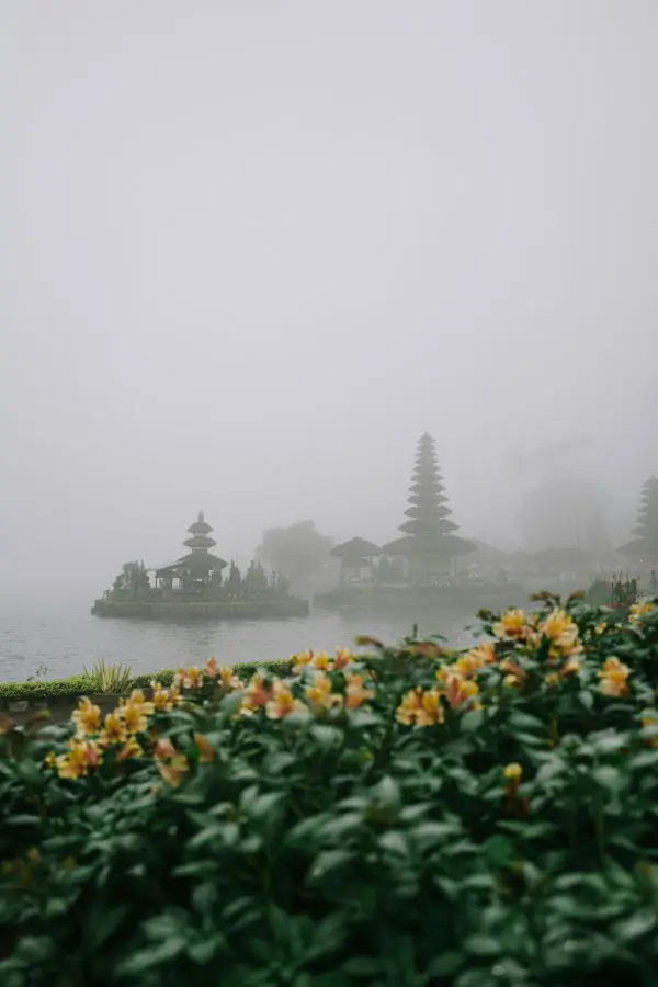 Heavy morning fog over mountain lake with flowers and misty highland air