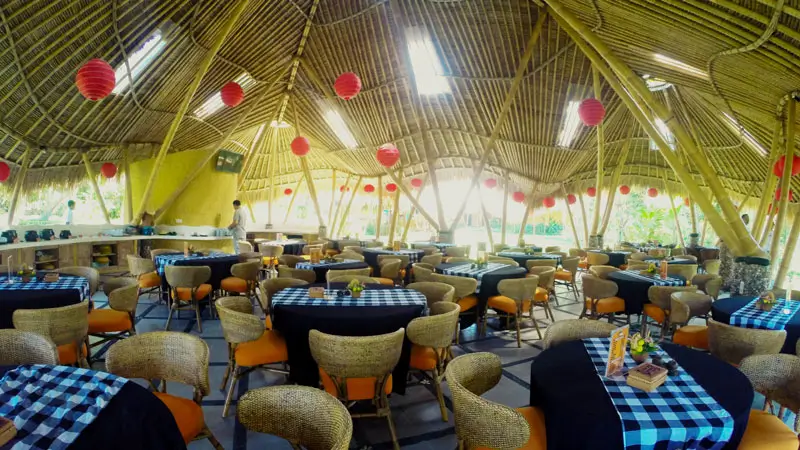 Buffet lunch area with fruit, tea, and local snacks for tour guests