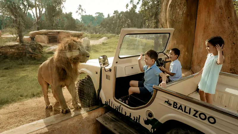 Kids spotting a lion through glass safari enclosure