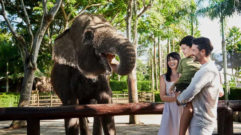 Family observing elephant from safe distance at Bali Zoo, with child lifted near viewing barrier