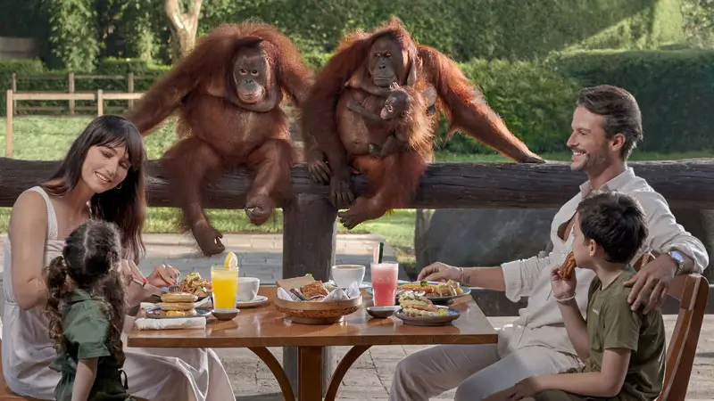 Family enjoying Bali Zoo Breakfast with Orangutans included in ticket