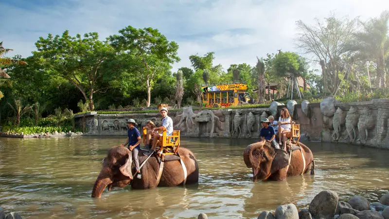 International visitors riding elephants at Bali Zoo during Elephant Expedition ticket experience