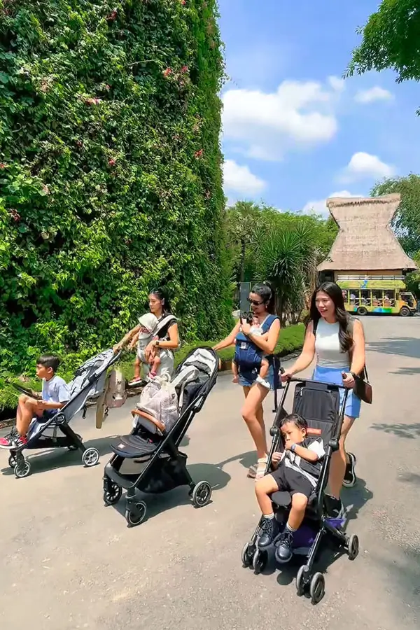 Families pushing strollers at Bali Zoo along sunlit path, with toddlers and baby carriers