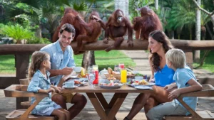 Family enjoying Breakfast with Orangutans at Bali Zoo