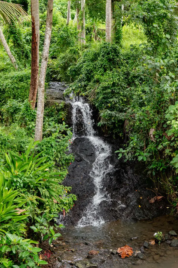 Small waterfall flowing through forest greenery near the Yeh Pulu Temple trail