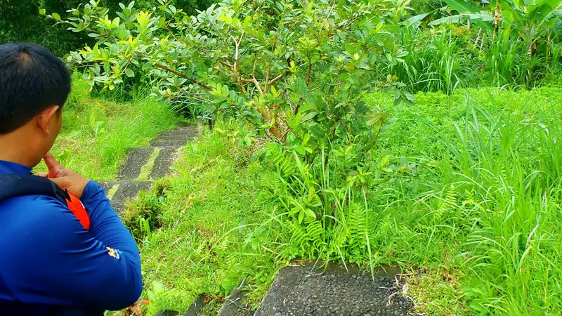 Stairs leading from river finish point to the rafting restaurant, showing fitness requirement for guests.