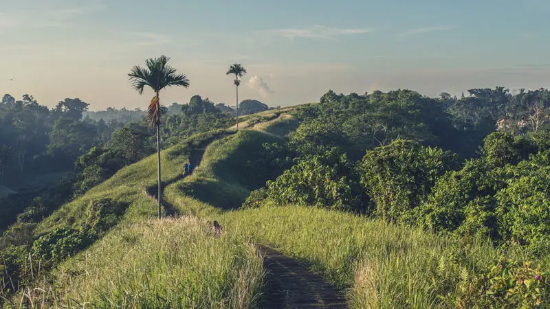 Morning walkers on Campuhan Ridge Walk path above green Ubud valley in Bali