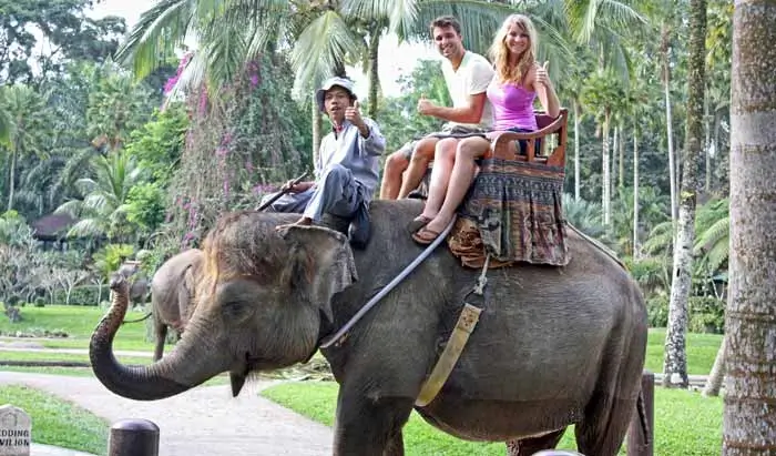 Couple riding an elephant with mahout at Mason Elephant Park Taro