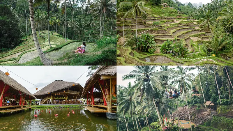 Collage of Ubud honeymoon spots with rice terraces, Bali Swing, and lakeside restaurant pavilions