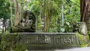 Monkey Forest Ubud entrance signage in the morning, opening at 09:00 WITA