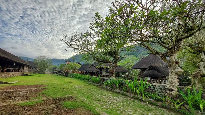 Stone path lined with frangipani trees and traditional houses