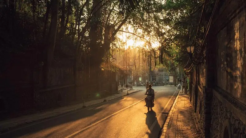 Scooter on a quiet Bali street at sunset with soft golden light through trees