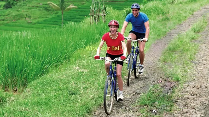 Couple cycling with helmets along a small path between green rice fields near Ubud Bali