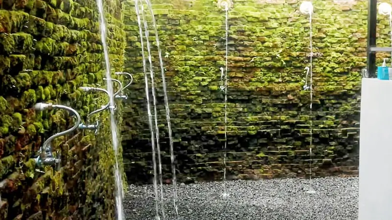 Shower and changing area at the rafting basecamp