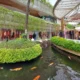 Shopping area inside Beachwalk mall in Kuta with shops and pond