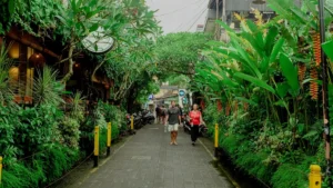 Travelers walking along a green pedestrian street in central Ubud