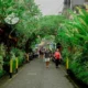 Travelers walking along a green pedestrian street in central Ubud