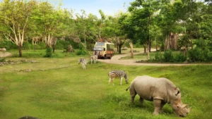 Safari Journey tram for Bali Safari and Marine Park tickets
