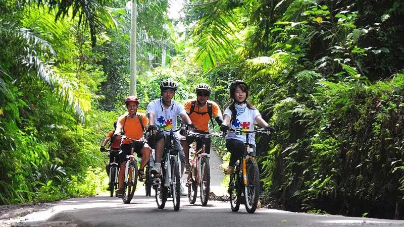Travelers cycling on a shaded village road near Ubud