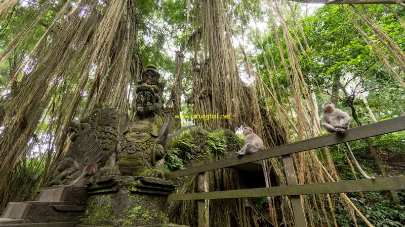 Long-tailed macaques near a stone statue in Monkey Forest Ubud