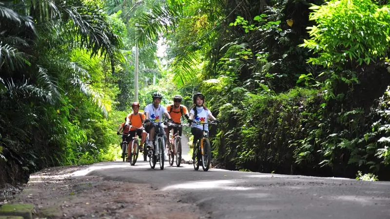 Cyclists riding on a shaded road in the Ubud area