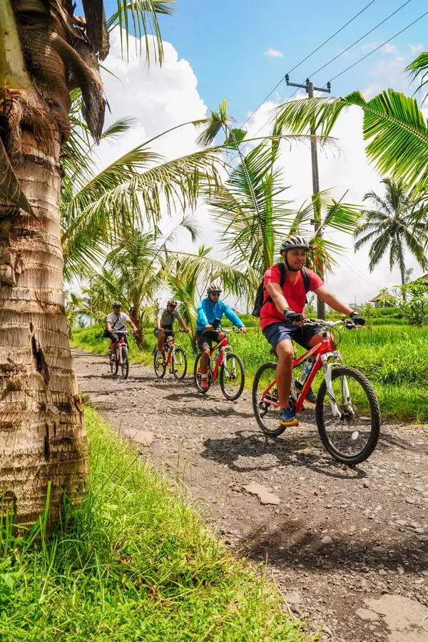Cyclists ride along a village road on the Kintamani countryside route