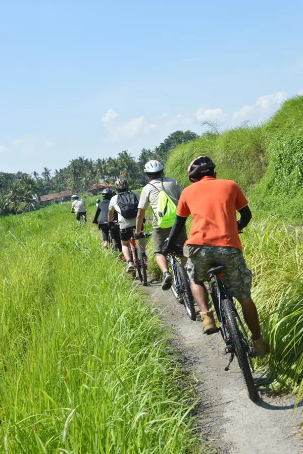 Cyclists riding along a narrow green path in Ubud