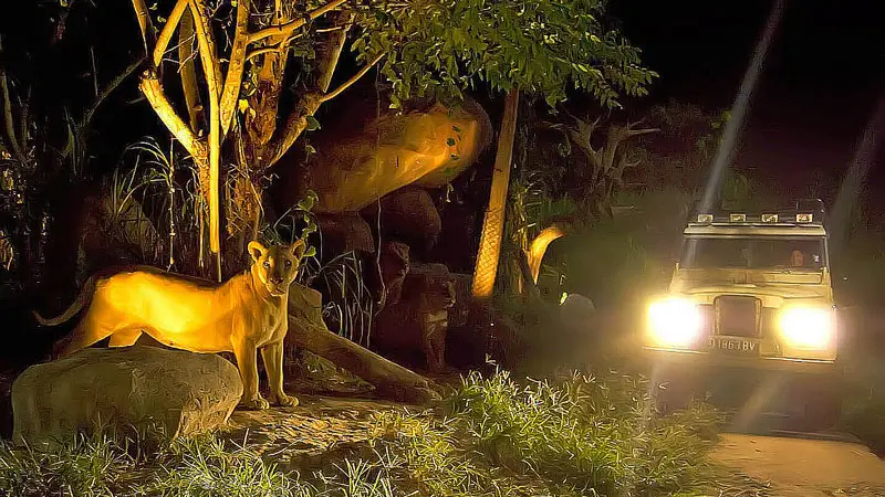 Evening safari vehicle near animals in a lit habitat