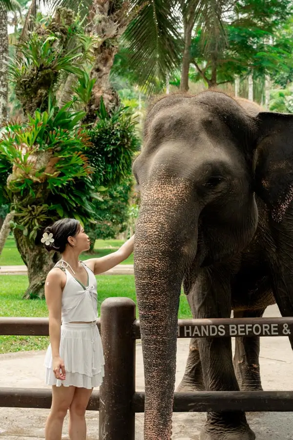 Guest touching an elephant at Elephant Safari Park Bali